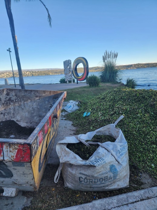 EAYT PLANTAS ACUATICAS DIA 1 DE MAYO 2026.jpg